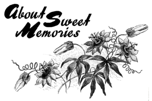 About Sweet Memories Display Font for Striking Web Typography