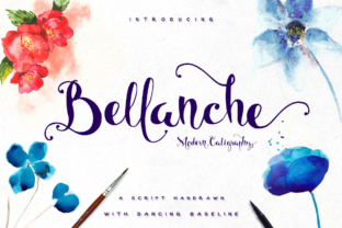 Bellanche: An Elegant Calligraphy Font for Small Business Branding