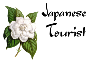 Japanese Tourist Display Font for Bold Digital Branding