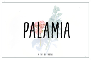 Palamia: A Versatile Display Font for Creative Branding