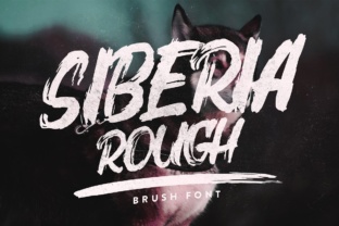 Siberia Rough: A Brush Font That Brings Energy to Your Brand