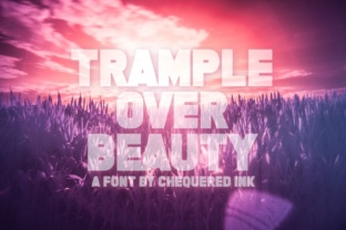 Trample over Beauty Font for Bold Digital Headlines